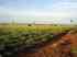 Fazendas � venda-rural urbano-julios dna imoveis